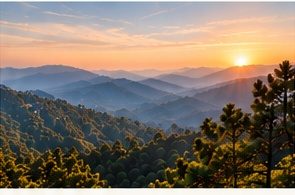 Kasauli viewpoints
