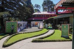 DSC00598