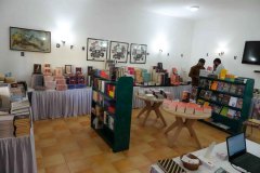 DSC00601