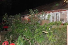 DSC08915