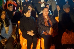 Raj-Villa-35