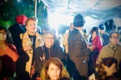 Raj-Villa-36 Raj-Villa-36