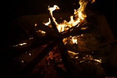 Raj-Villa-49 Raj-Villa-49