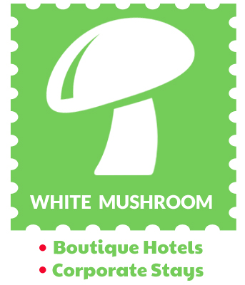 white-mushrooms-holidays